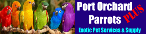 Port Orchard Parrots Plus Banner Logo