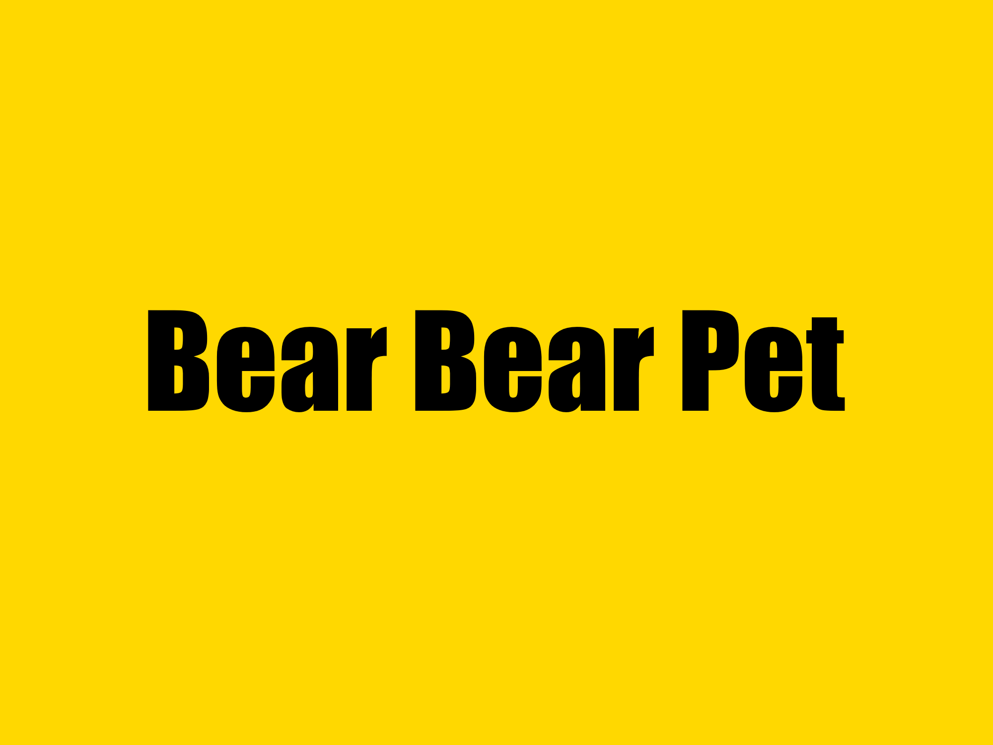 Bear Bear Pet