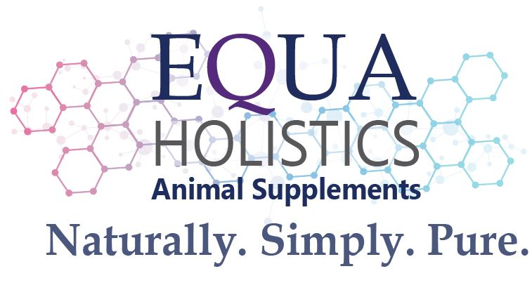 Equa holistika
