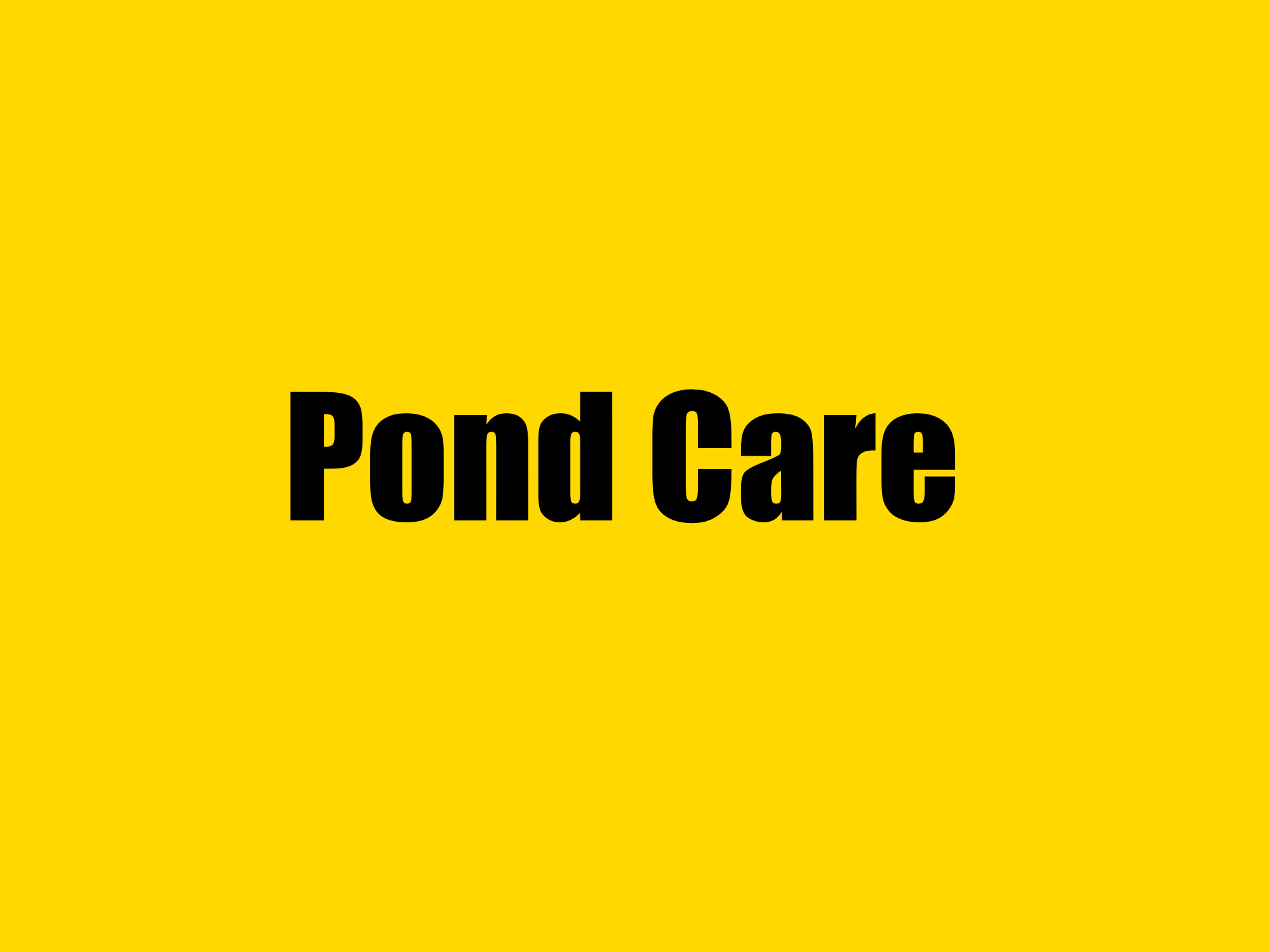 Pond Care