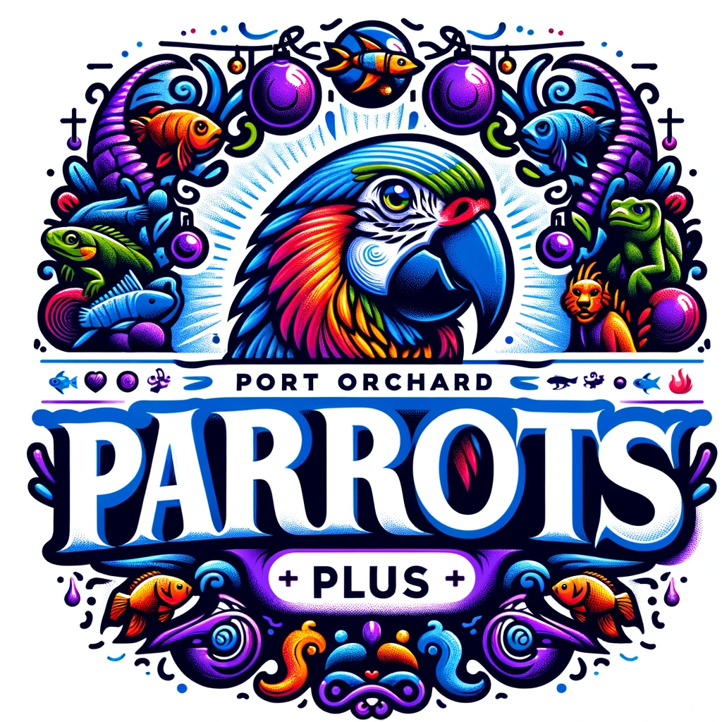 Parrots Port Orchard a bharrachd